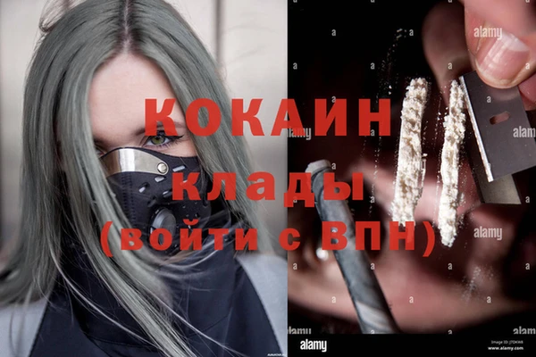 крисы Алексеевка