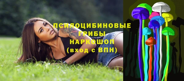 крисы Алзамай