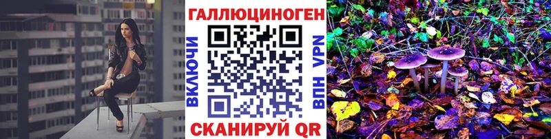 как найти закладки ОМГ ОМГ как войти Псилоцибиновые грибы Psilocybine cubensis Байкальск