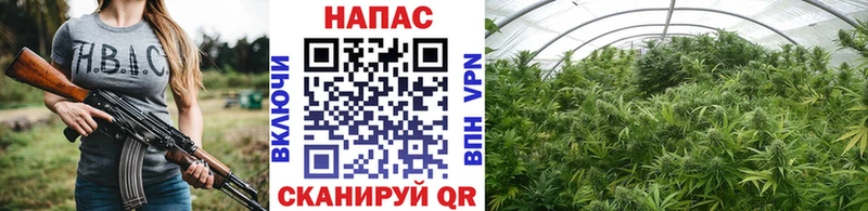 Марихуана конопля Байкальск